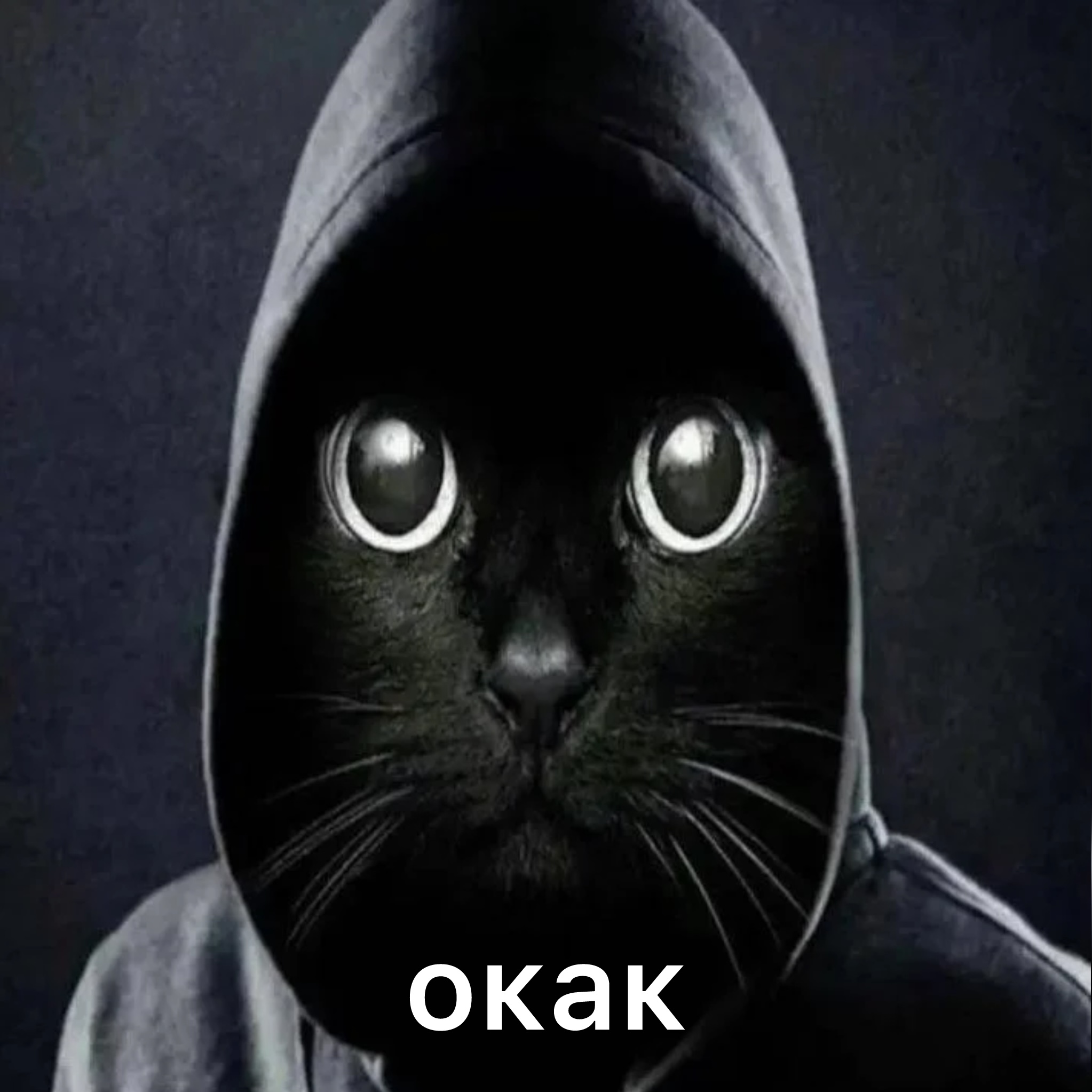 OKAK - Surprised Cat Coin